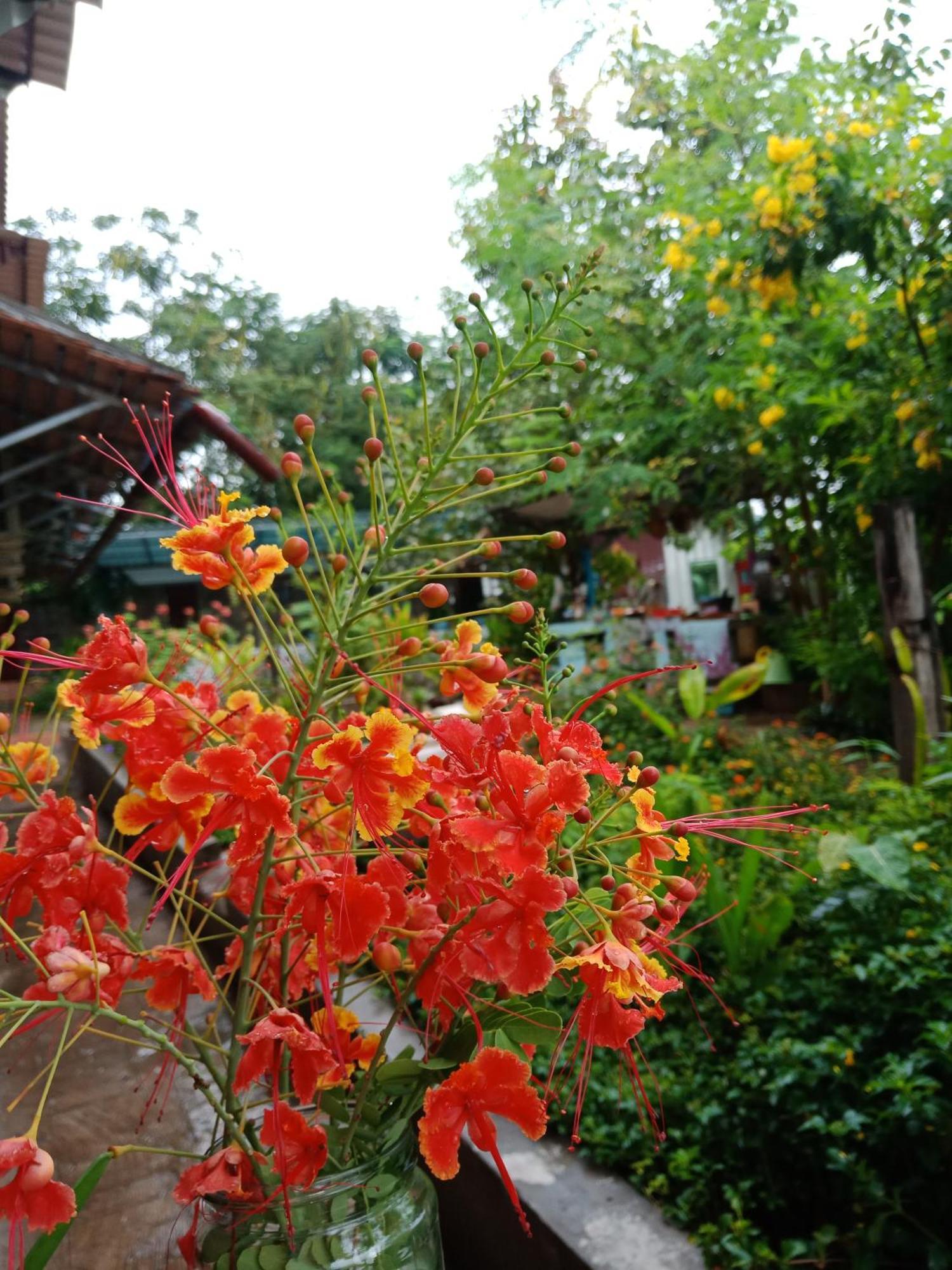 Homestay Silk Island Phnom Penh